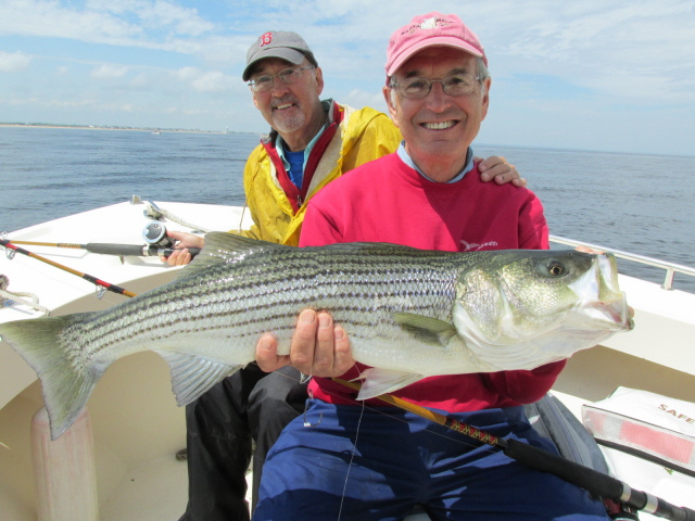 John Haran w/ 33" striper 6-3-13